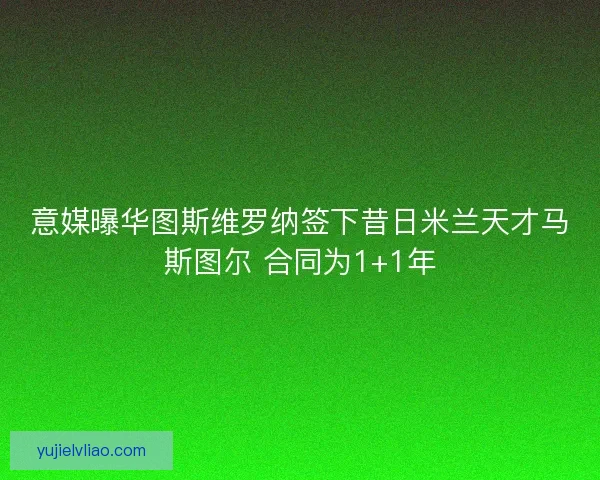意媒曝华图斯维罗纳签下昔日米兰天才马斯图尔 合同为1+1年
